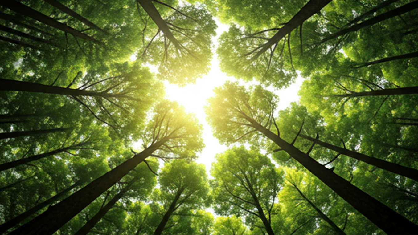 Carbon Reduction